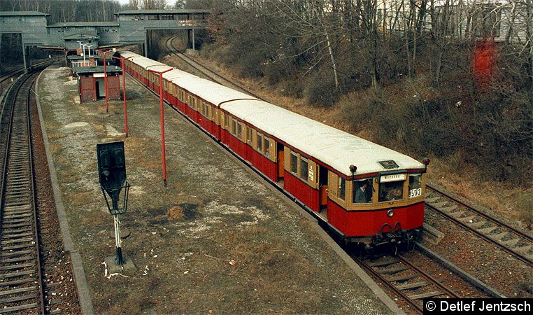 Bild: Störzug in Eichkamp