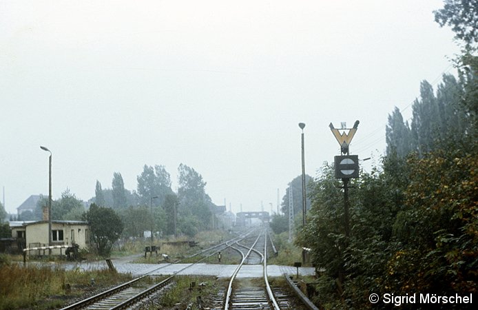 Bild: Gsp/Ra-Signal